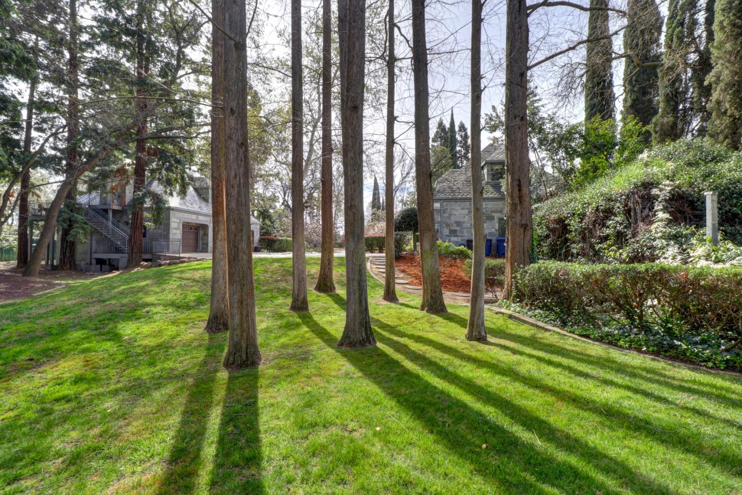 Sacramento, California, 95827, United States, 6 Bedrooms Bedrooms, ,7 BathroomsBathrooms,Residential,Active,1898041