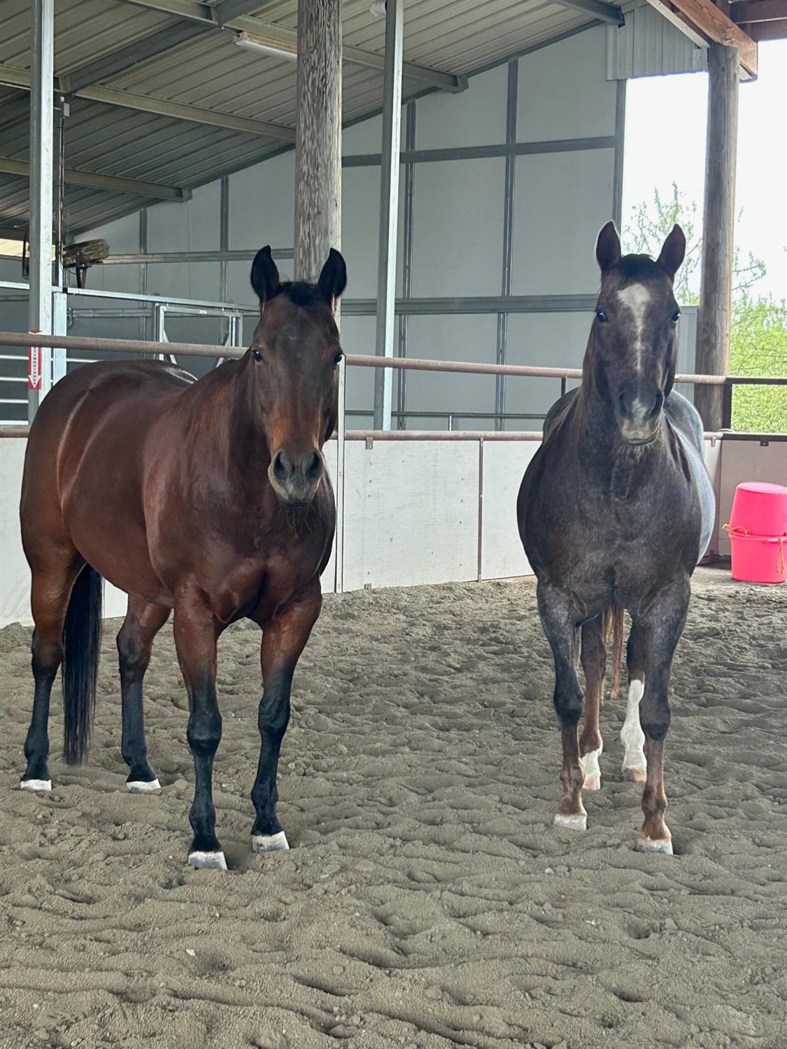 Davis, California, 95616, United States, ,3 BathroomsBathrooms,Residential,Active,1808296