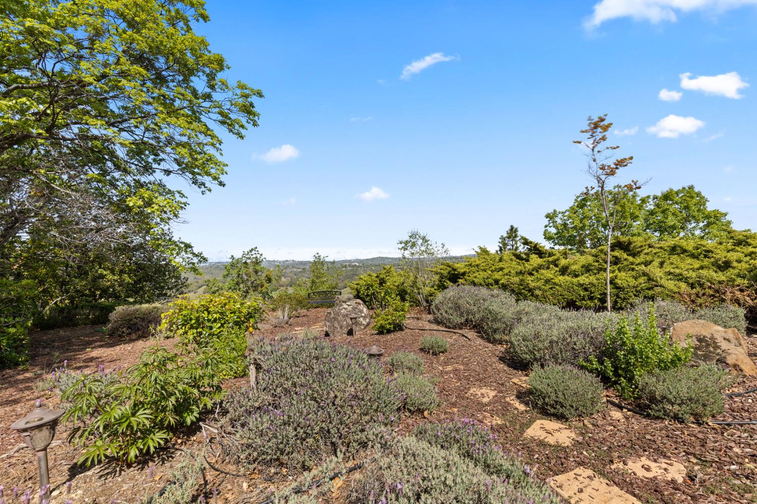 Jackson, California, 95642, United States, 2 Bedrooms Bedrooms, ,3 BathroomsBathrooms,Residential,Active,2026333