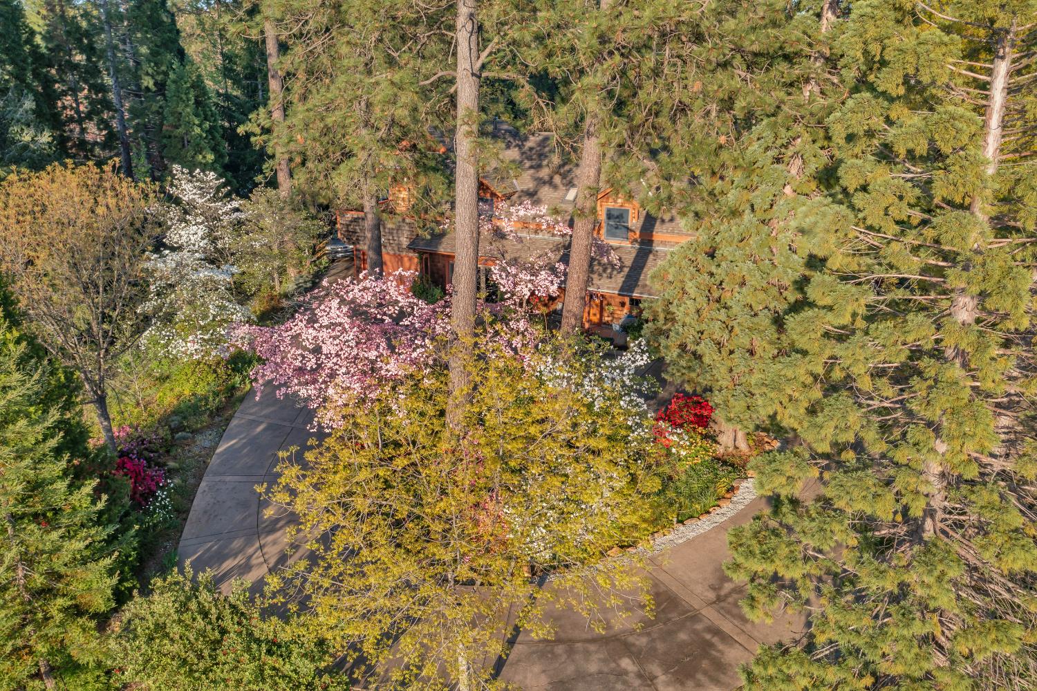 Placerville, California, 95667, United States, 3 Bedrooms Bedrooms, ,3 BathroomsBathrooms,Residential,Active,1834323