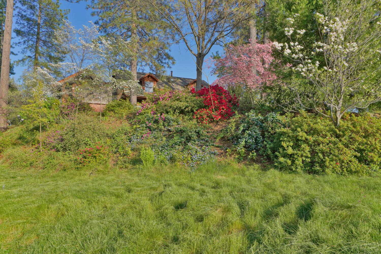 Placerville, California, 95667, United States, 3 Bedrooms Bedrooms, ,3 BathroomsBathrooms,Residential,Active,1834323