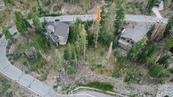 0 PALISADES DRIVE, KIRKWOOD, CA 95646 - Image 1