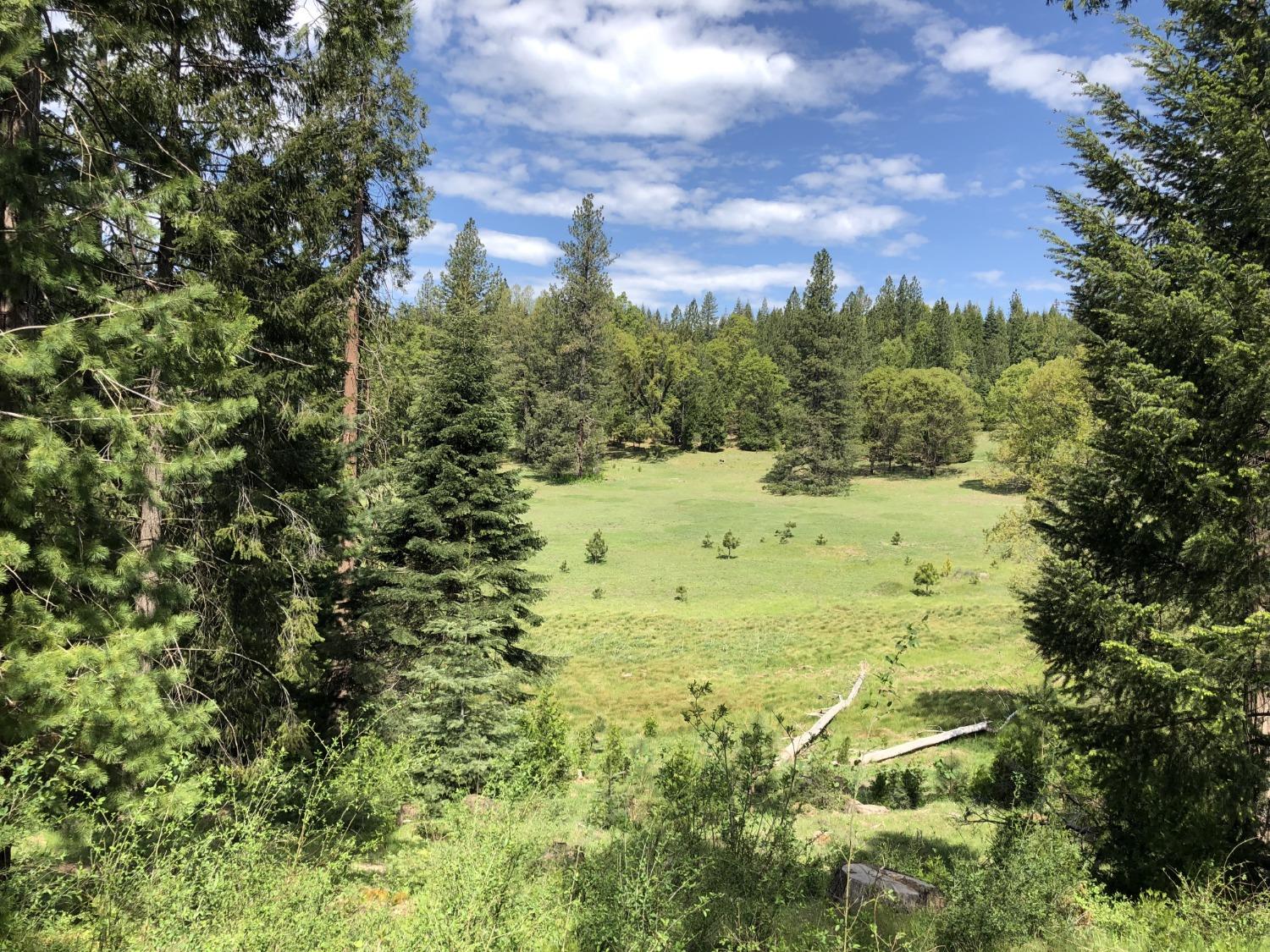 Pollock Pines, California, 95726, United States, 4 Bedrooms Bedrooms, ,3 BathroomsBathrooms,Residential,Active,1880012