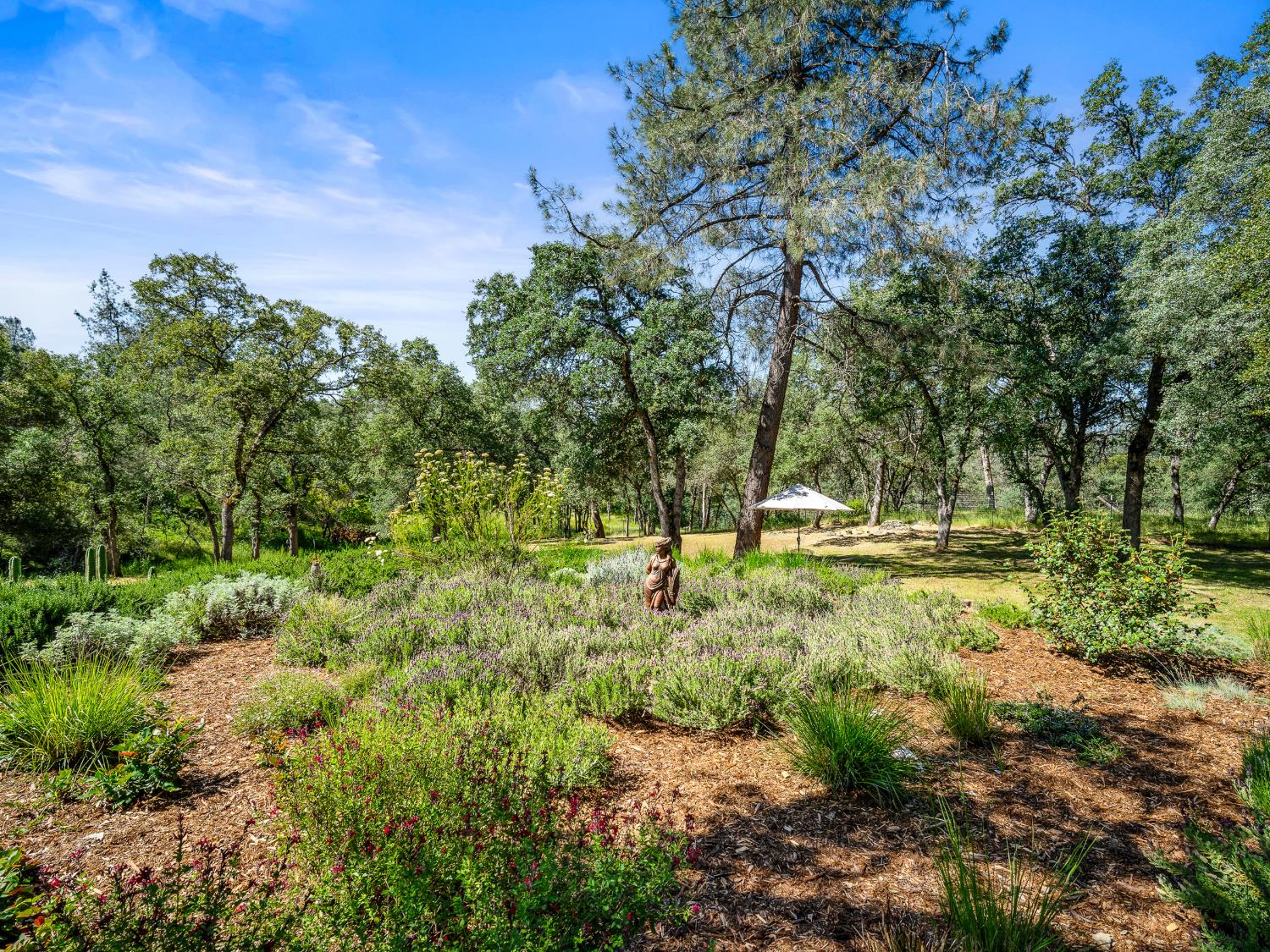 Placerville, California, 95667, United States, 3 Bedrooms Bedrooms, ,4 BathroomsBathrooms,Residential,Active,2042684