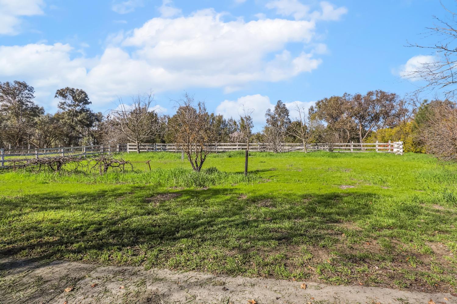 Woodland, California, 95695, United States, 4 Bedrooms Bedrooms, ,3 BathroomsBathrooms,Residential,Active,1929675