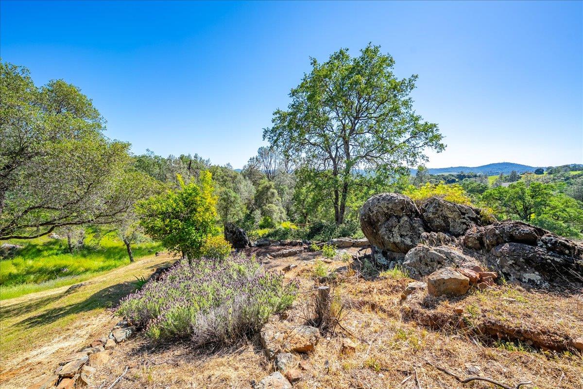 Placerville, California, 95667, United States, 4 Bedrooms Bedrooms, ,3 BathroomsBathrooms,Residential,Active,2034648