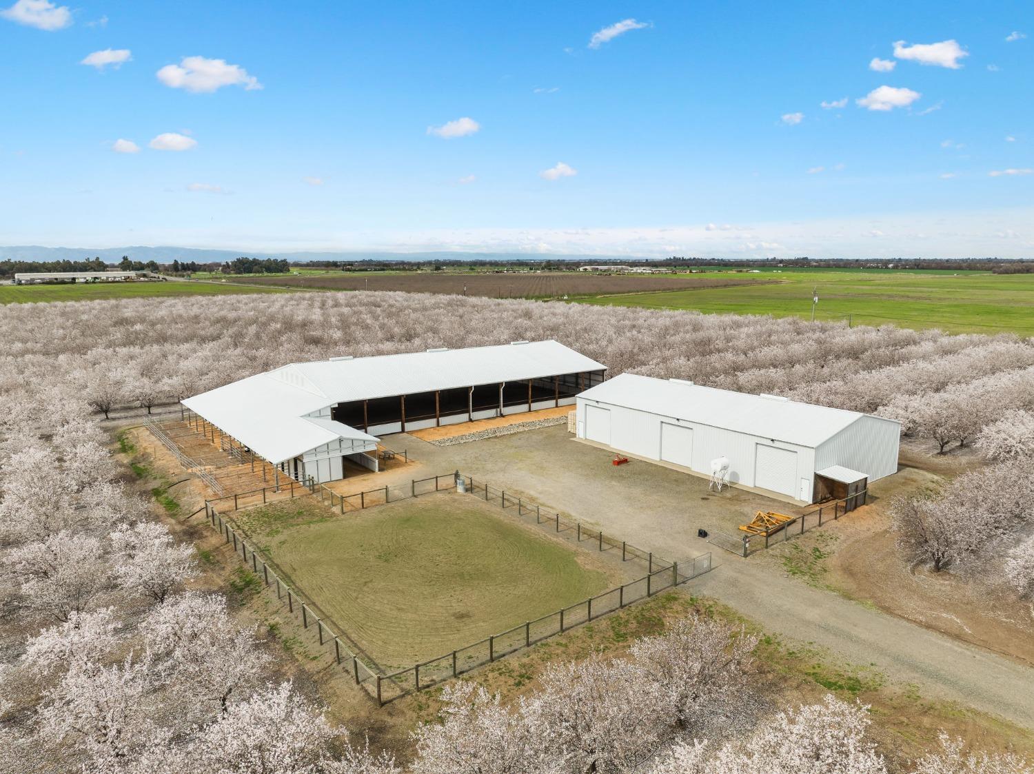 Davis, California, 95616, United States, ,3 BathroomsBathrooms,Residential,Active,1808296