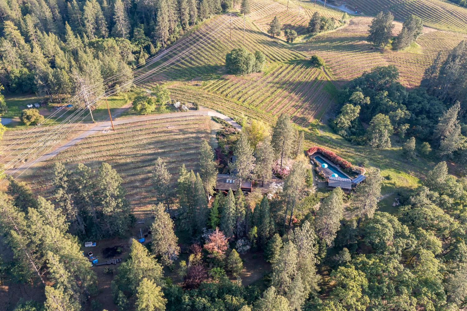 Placerville, California, 95667, United States, 3 Bedrooms Bedrooms, ,3 BathroomsBathrooms,Residential,Active,1834323