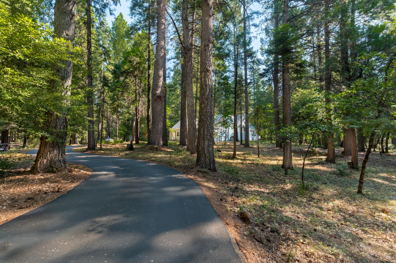 Nevada City, California, 95959, United States, 3 Bedrooms Bedrooms, ,4 BathroomsBathrooms,Residential,Active,1919052