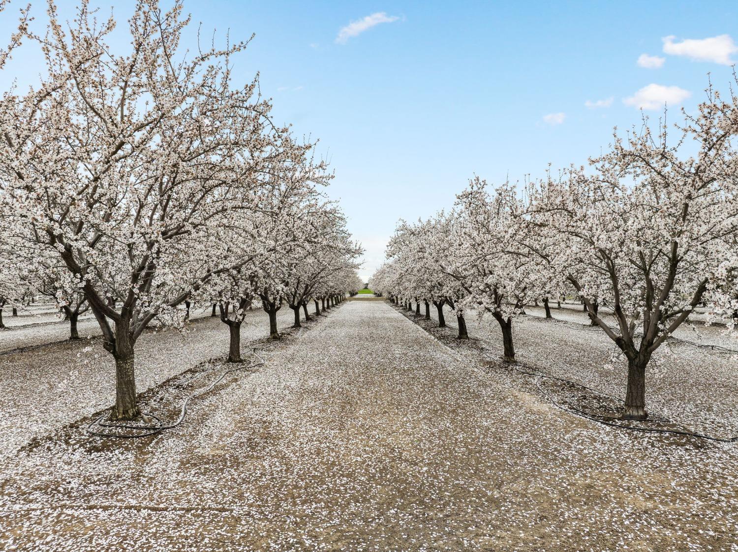 Davis, California, 95616, United States, ,3 BathroomsBathrooms,Residential,Active,1808296