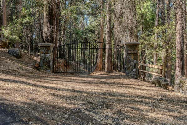 19413 PONDEROSA DR, PIONEER, CA 95666 - Image 1