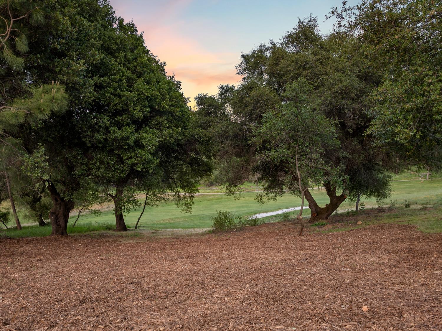 Auburn, California, 95602, United States, 4 Bedrooms Bedrooms, ,3 BathroomsBathrooms,Residential,Active,1959534