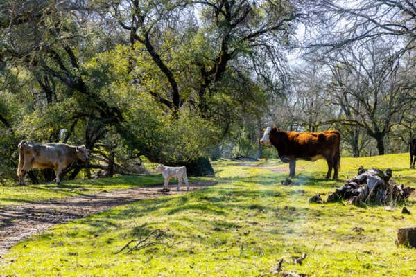 660 SAND RIDGE RD, EL DORADO, CA 95623 Single Family Residence For Sale ...