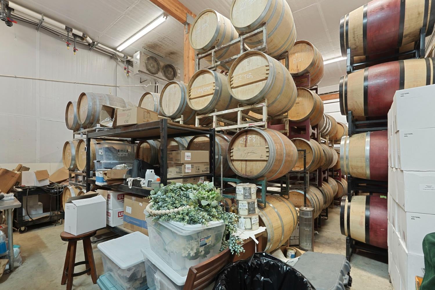 Lodi, California, 95240, United States, 3 Bedrooms Bedrooms, ,3 BathroomsBathrooms,Residential,Active,2001349