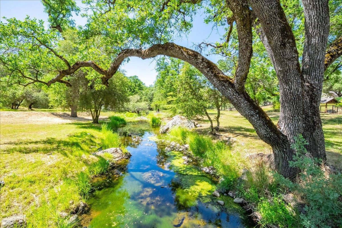 Shingle Springs, California, 95682, United States, 3 Bedrooms Bedrooms, ,3 BathroomsBathrooms,Residential,Active,1823945