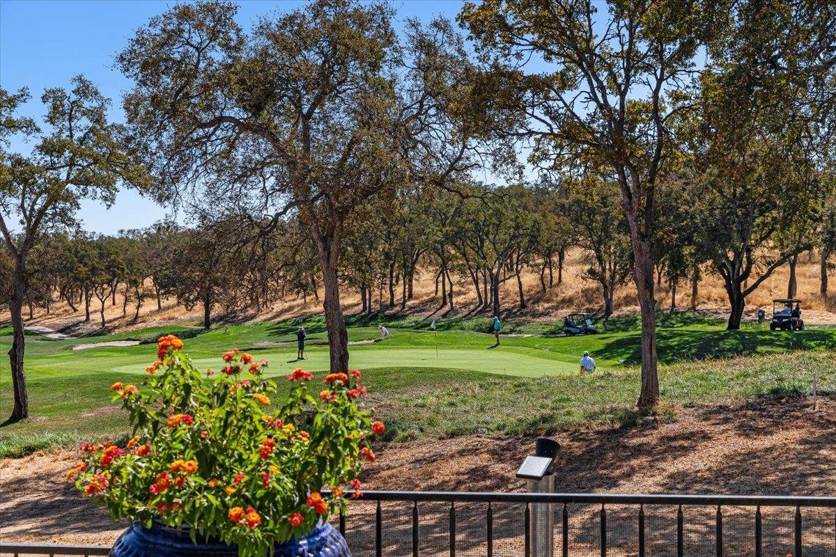 Copperopolis, California, 95228, United States, 4 Bedrooms Bedrooms, ,3 BathroomsBathrooms,Residential,Active,1953658