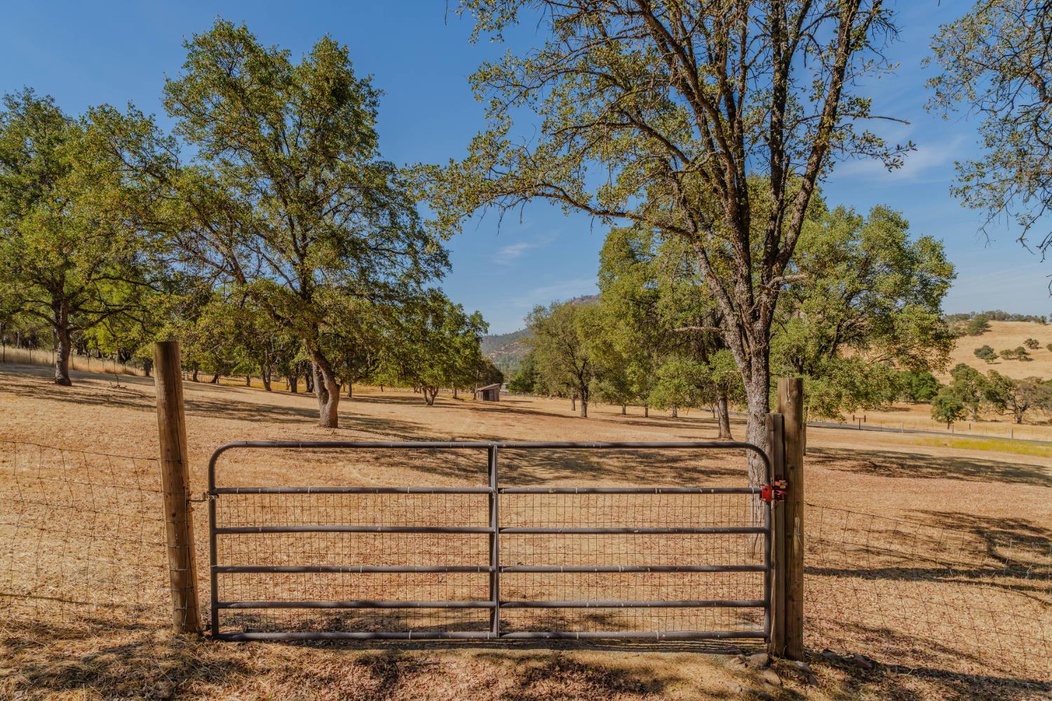 Angels Camp, California, 95222, United States, 3 Bedrooms Bedrooms, ,2 BathroomsBathrooms,Residential,Active,1942399