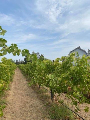 Lodi, California, 95240, United States, 3 Bedrooms Bedrooms, ,3 BathroomsBathrooms,Residential,Active,2001349