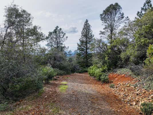 16797 STELLAR RD, GRASS VALLEY, CA 95949 - Image 1