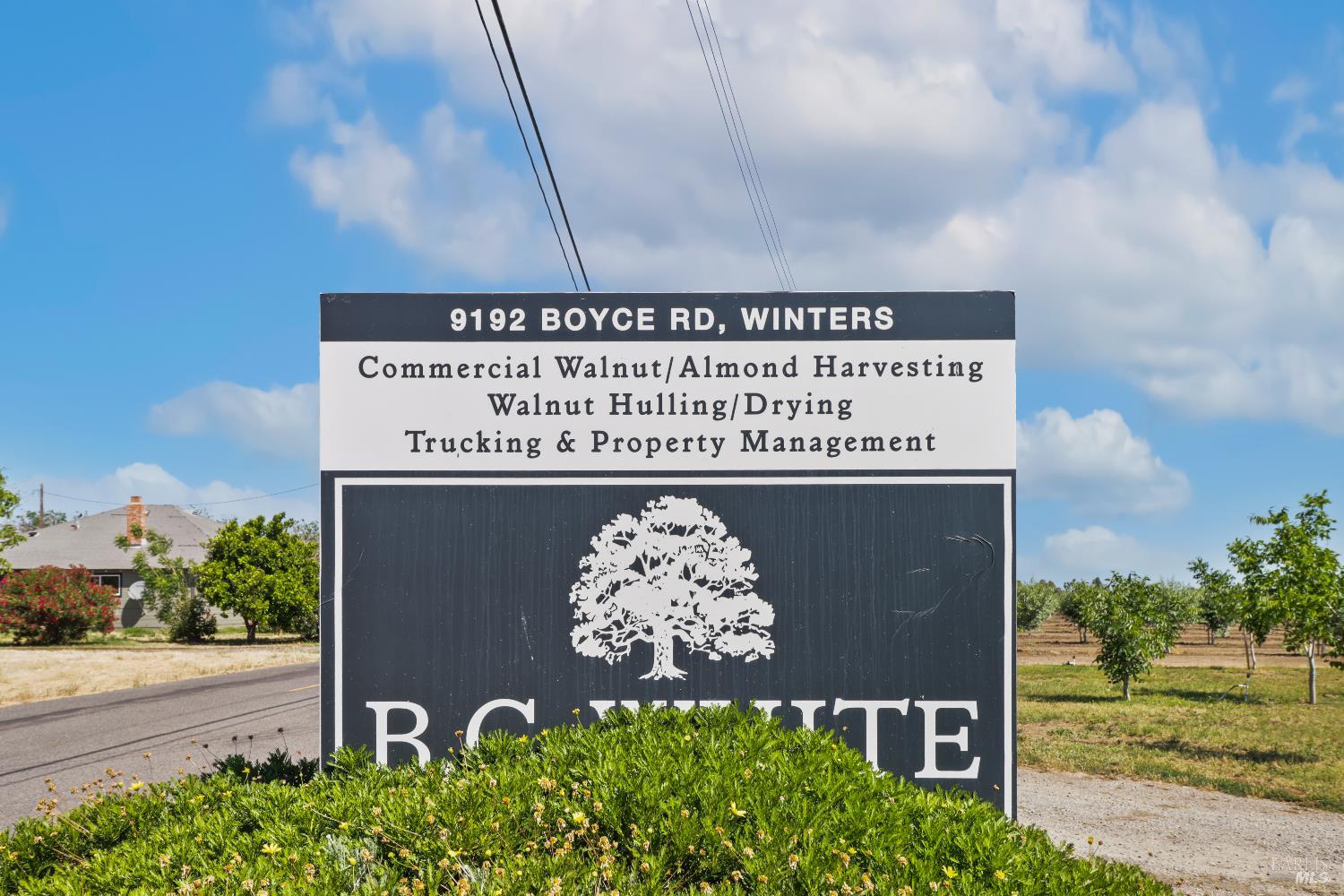 Winters, California, 95694, United States, 3 Bedrooms Bedrooms, ,2 BathroomsBathrooms,Residential,Active,1972159