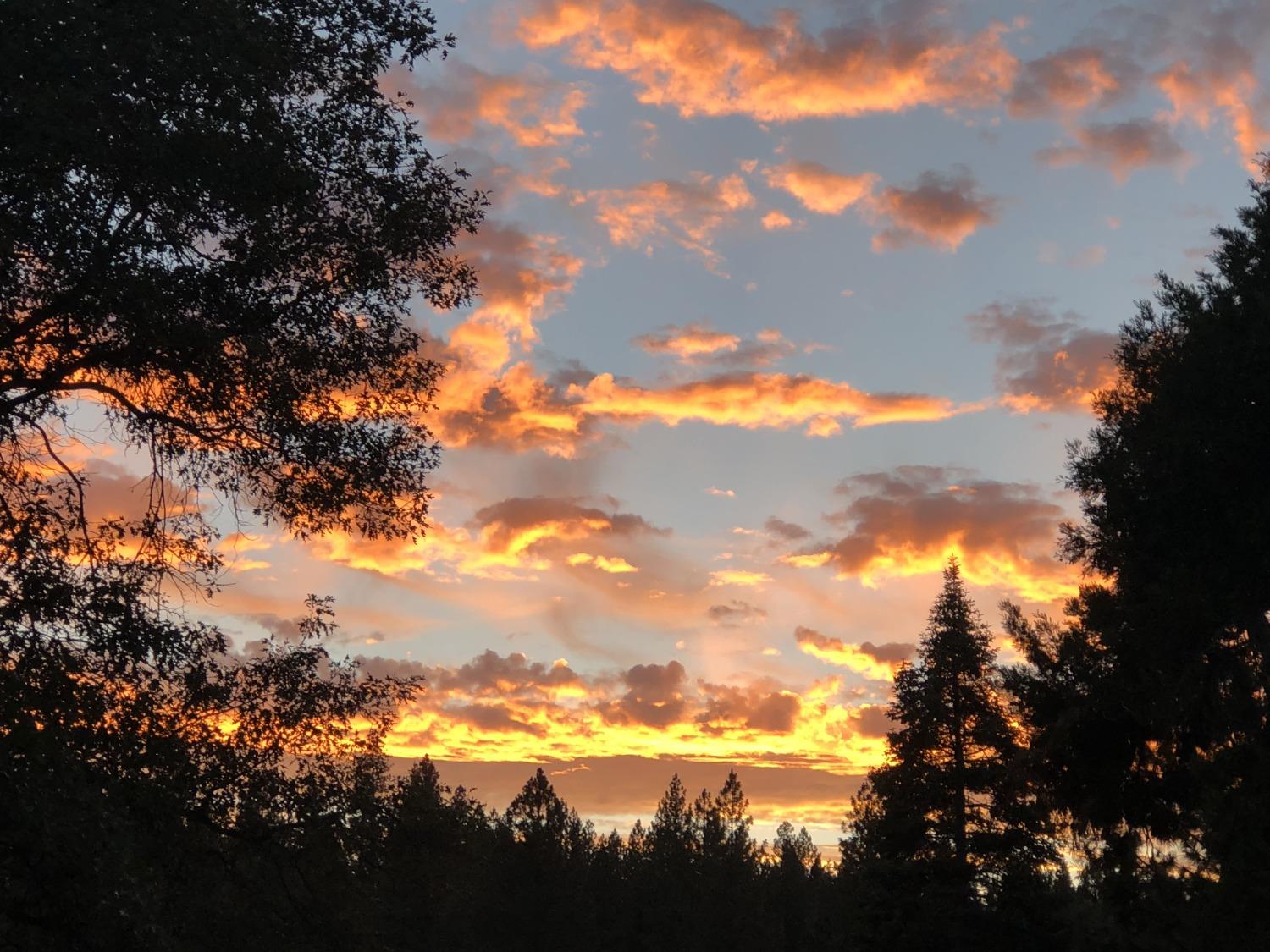 Pollock Pines, California, 95726, United States, 4 Bedrooms Bedrooms, ,3 BathroomsBathrooms,Residential,Active,1880012