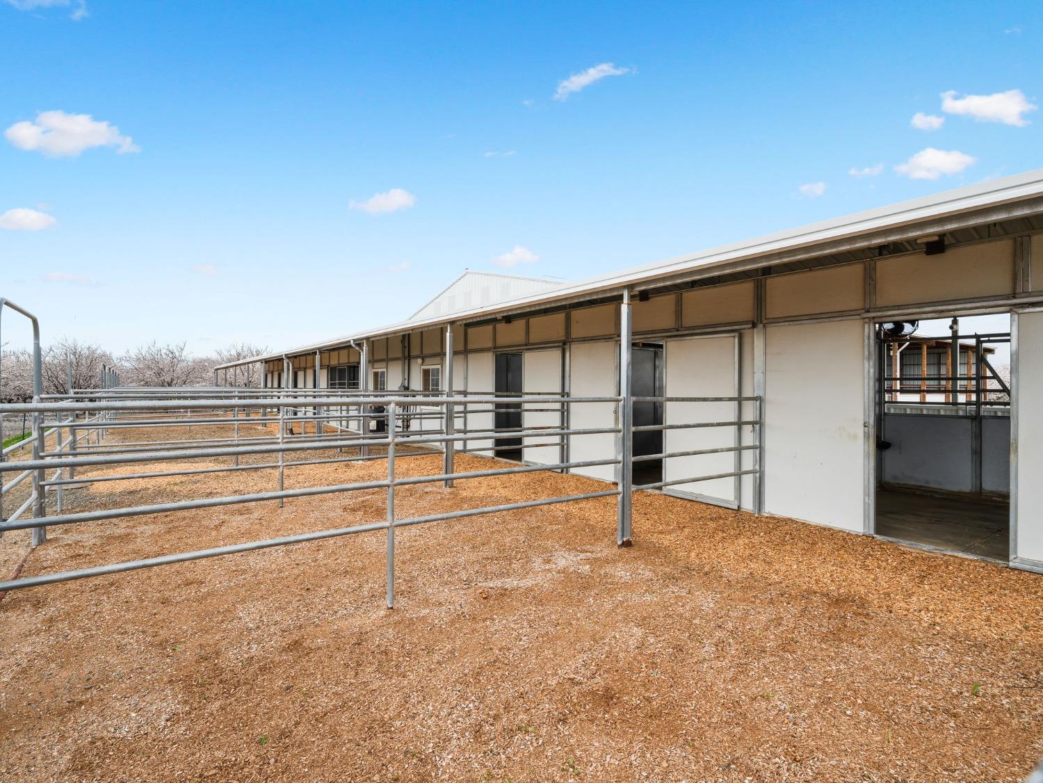 Davis, California, 95616, United States, ,3 BathroomsBathrooms,Residential,Active,1808296