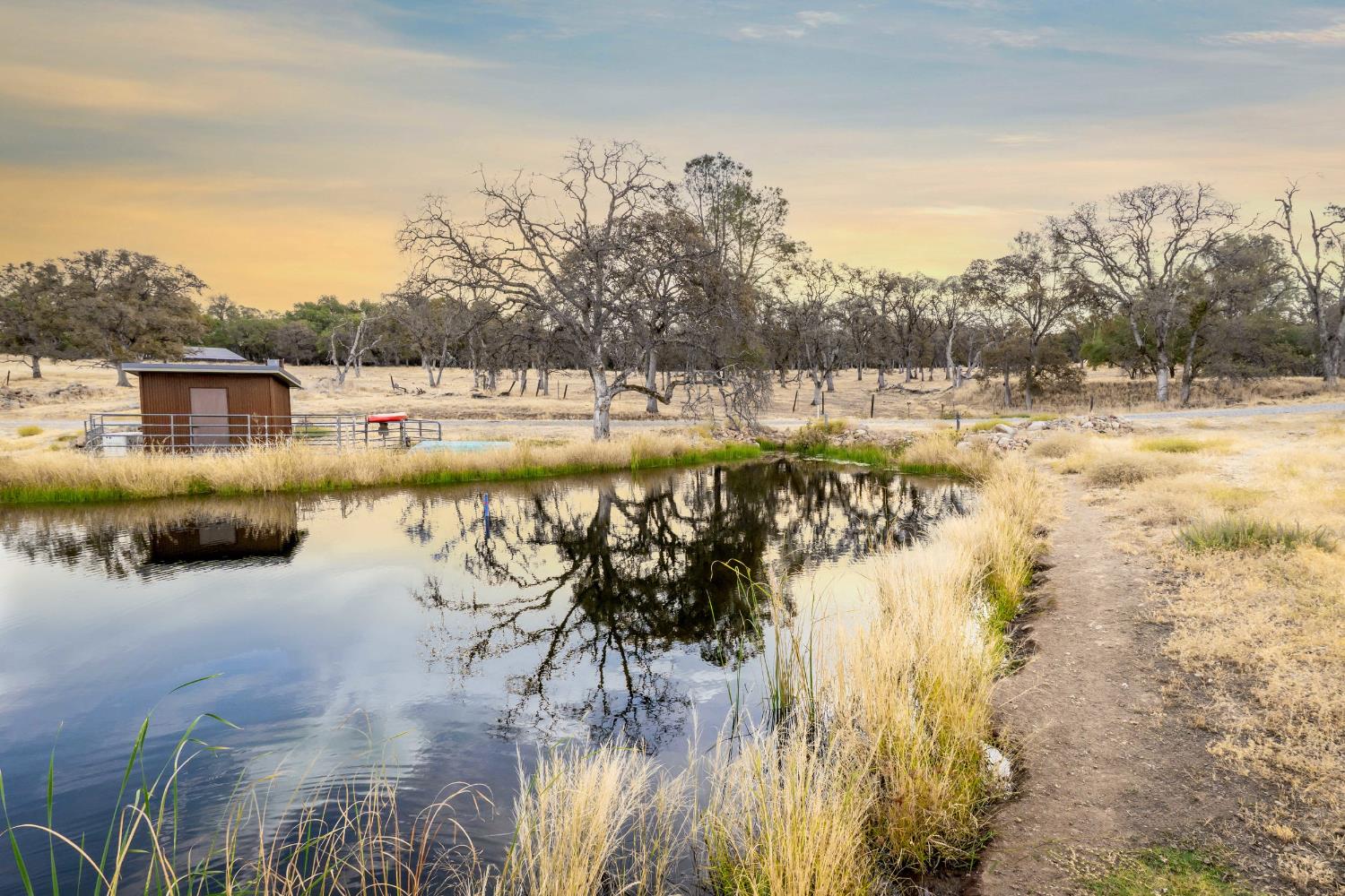 Smartsville, California, 95977, United States, 1 Bedroom Bedrooms, ,3 BathroomsBathrooms,Residential,Active,1952299