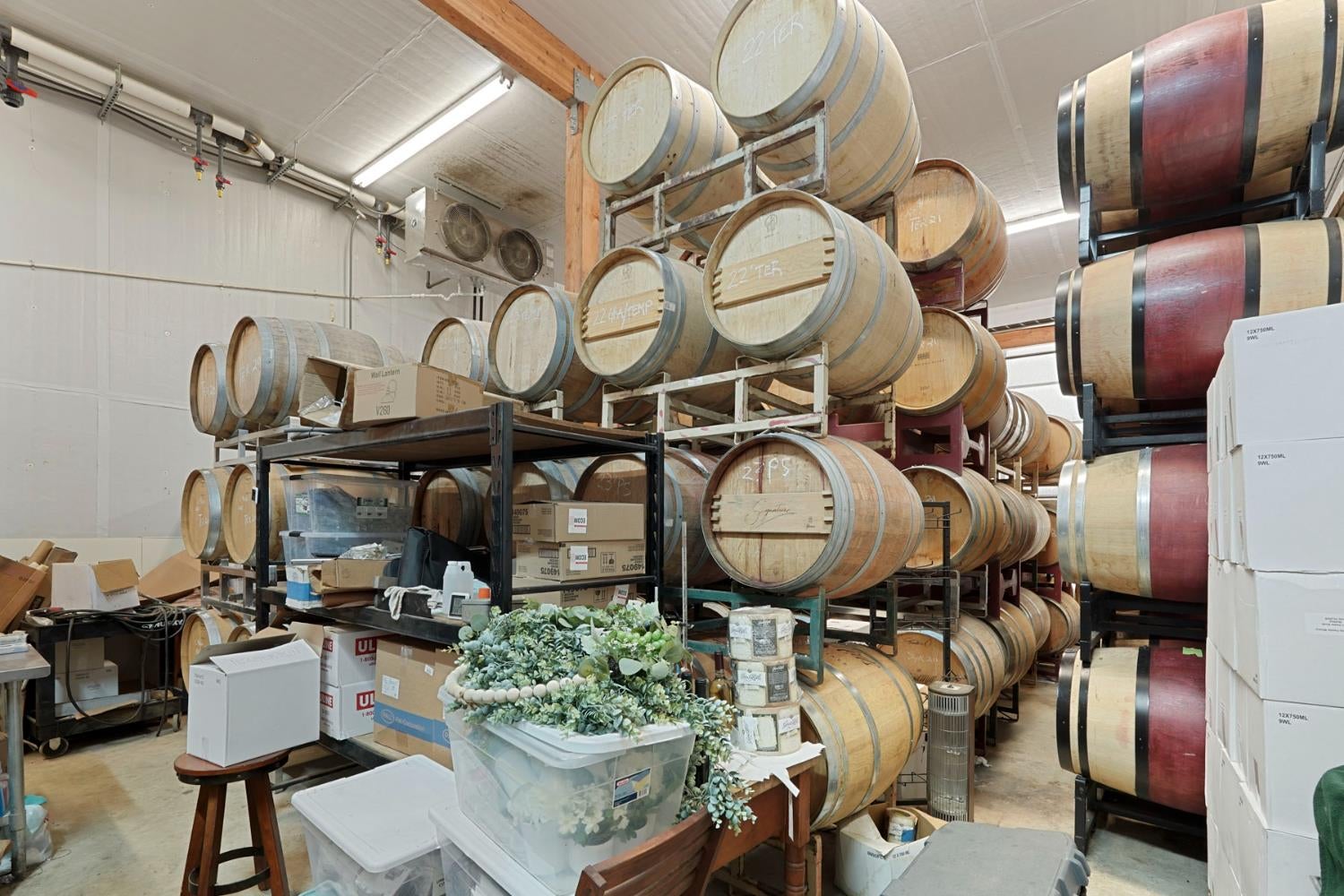 Lodi, California, 95240, United States, 3 Bedrooms Bedrooms, ,3 BathroomsBathrooms,Residential,Active,2001349