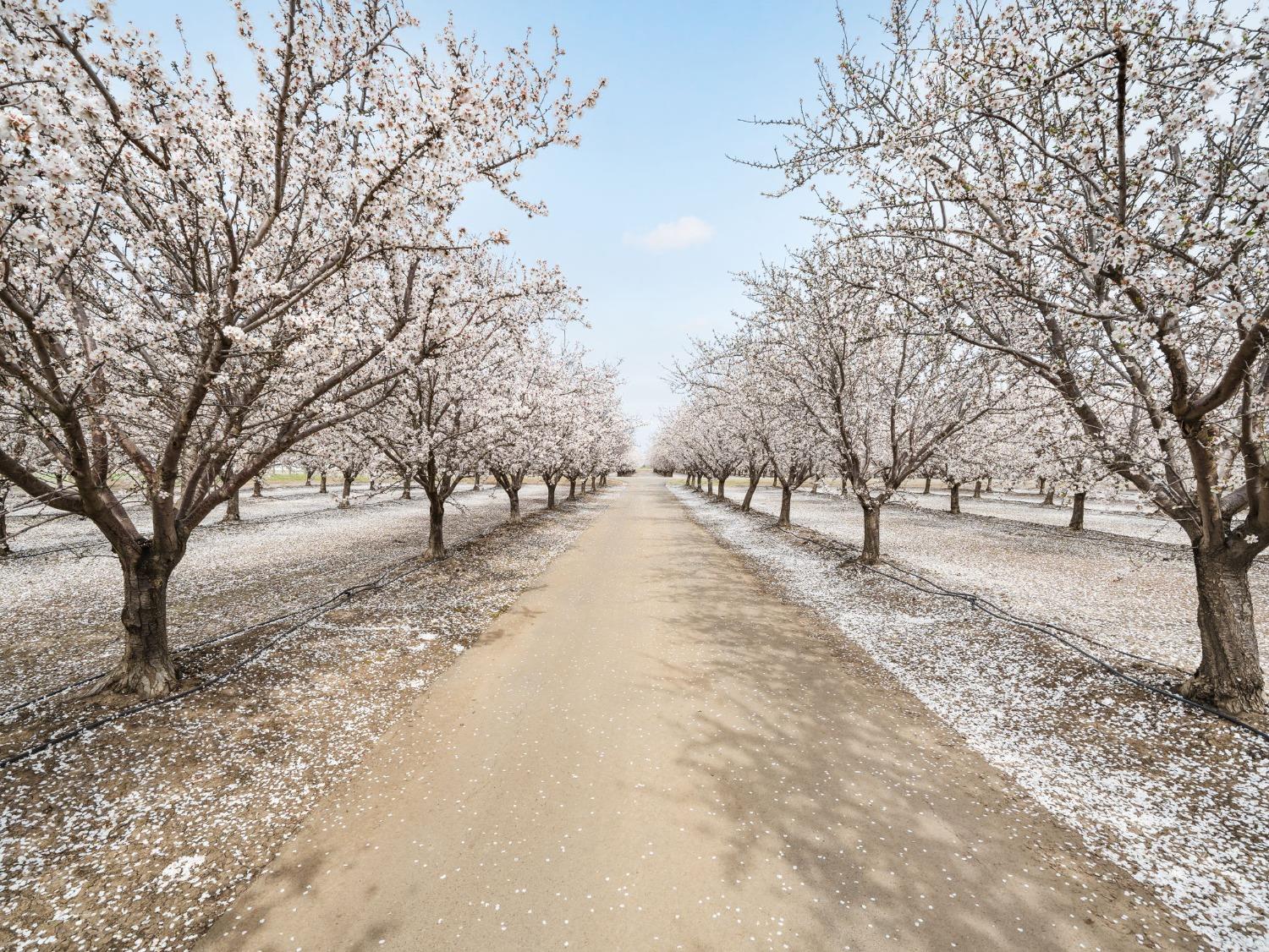 Davis, California, 95616, United States, ,3 BathroomsBathrooms,Residential,Active,1808296