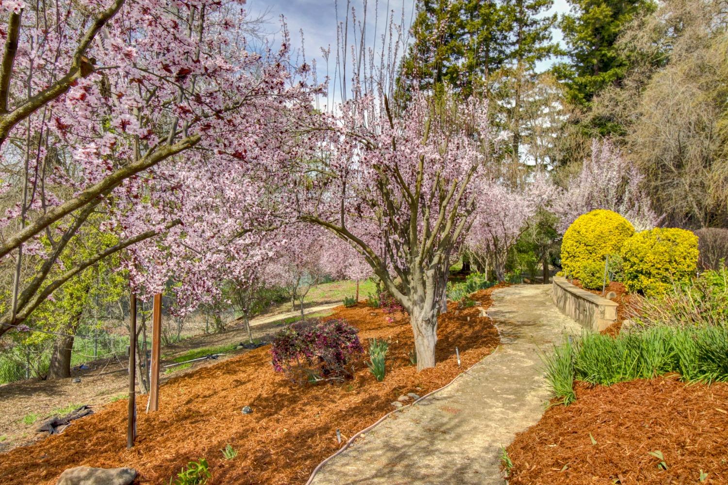 Sacramento, California, 95827, United States, 6 Bedrooms Bedrooms, ,7 BathroomsBathrooms,Residential,Active,1898041