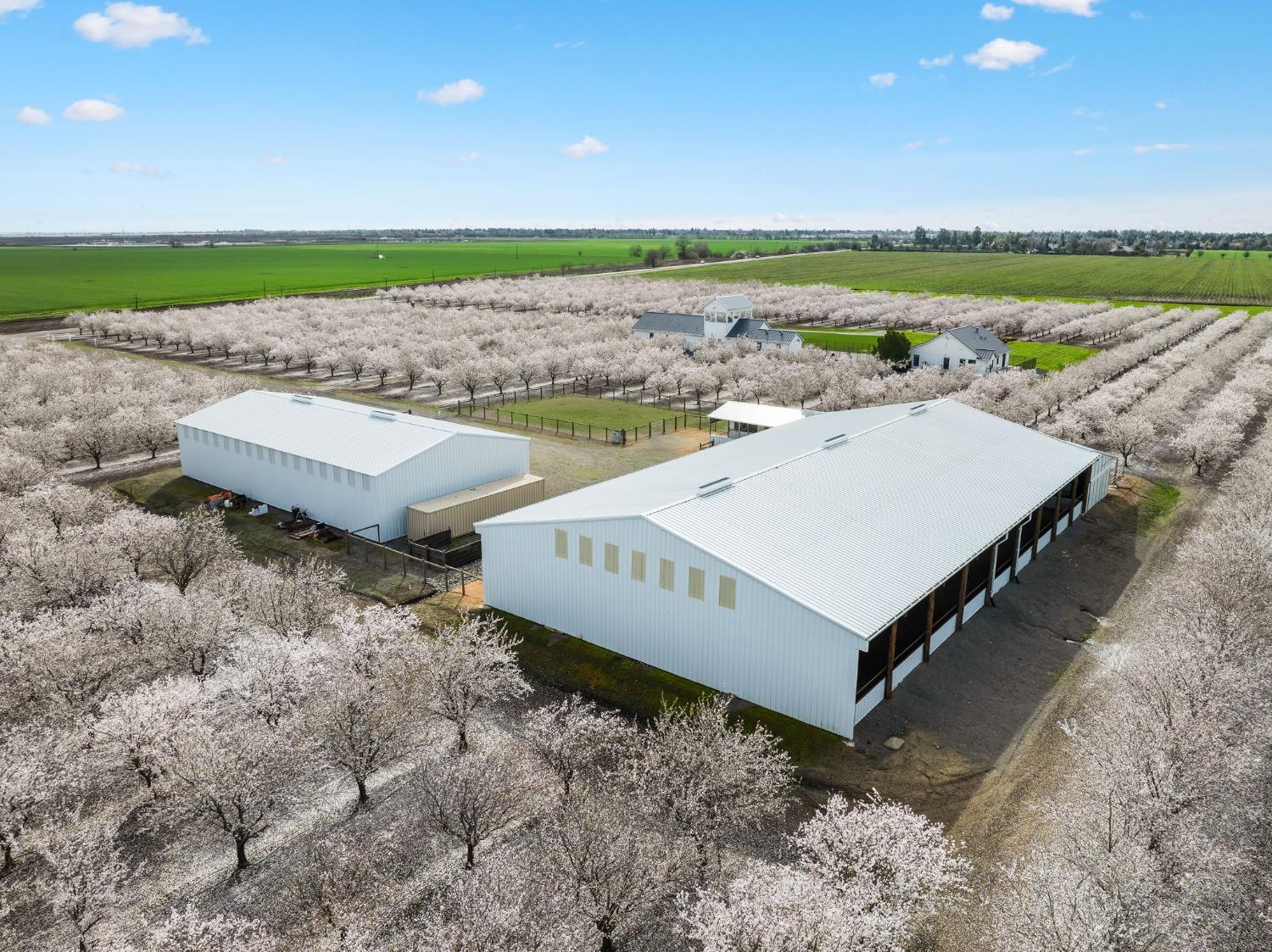 Davis, California, 95616, United States, ,3 BathroomsBathrooms,Residential,Active,1808296