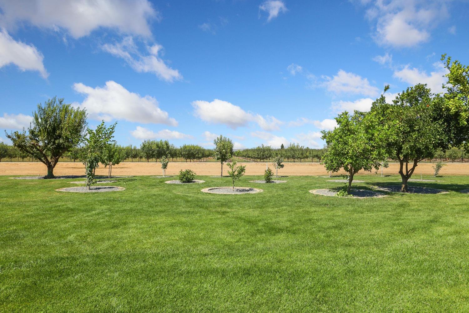 Manteca, California, 95336, United States, 4 Bedrooms Bedrooms, ,3 BathroomsBathrooms,Residential,Active,1946532