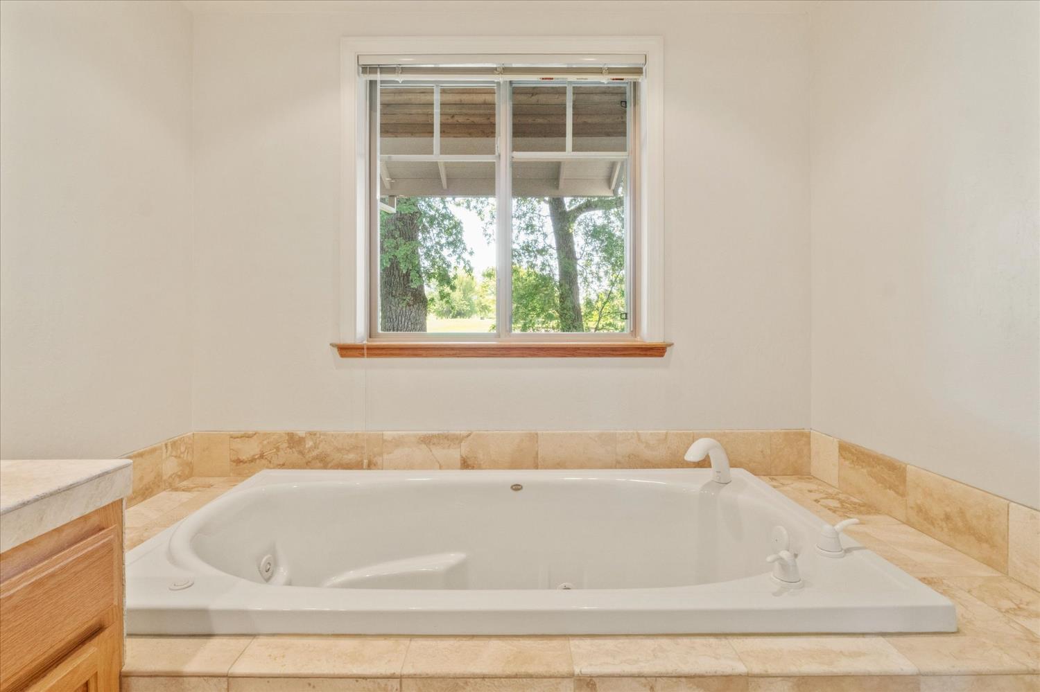 Angels Camp, California, 95222, United States, 3 Bedrooms Bedrooms, ,4 BathroomsBathrooms,Residential,Active,2036048