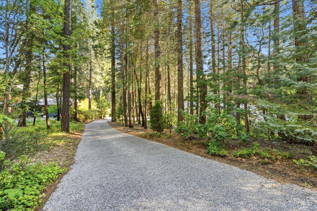 Nevada City, California, 95959, United States, 3 Bedrooms Bedrooms, ,3 BathroomsBathrooms,Residential,Active,2043425