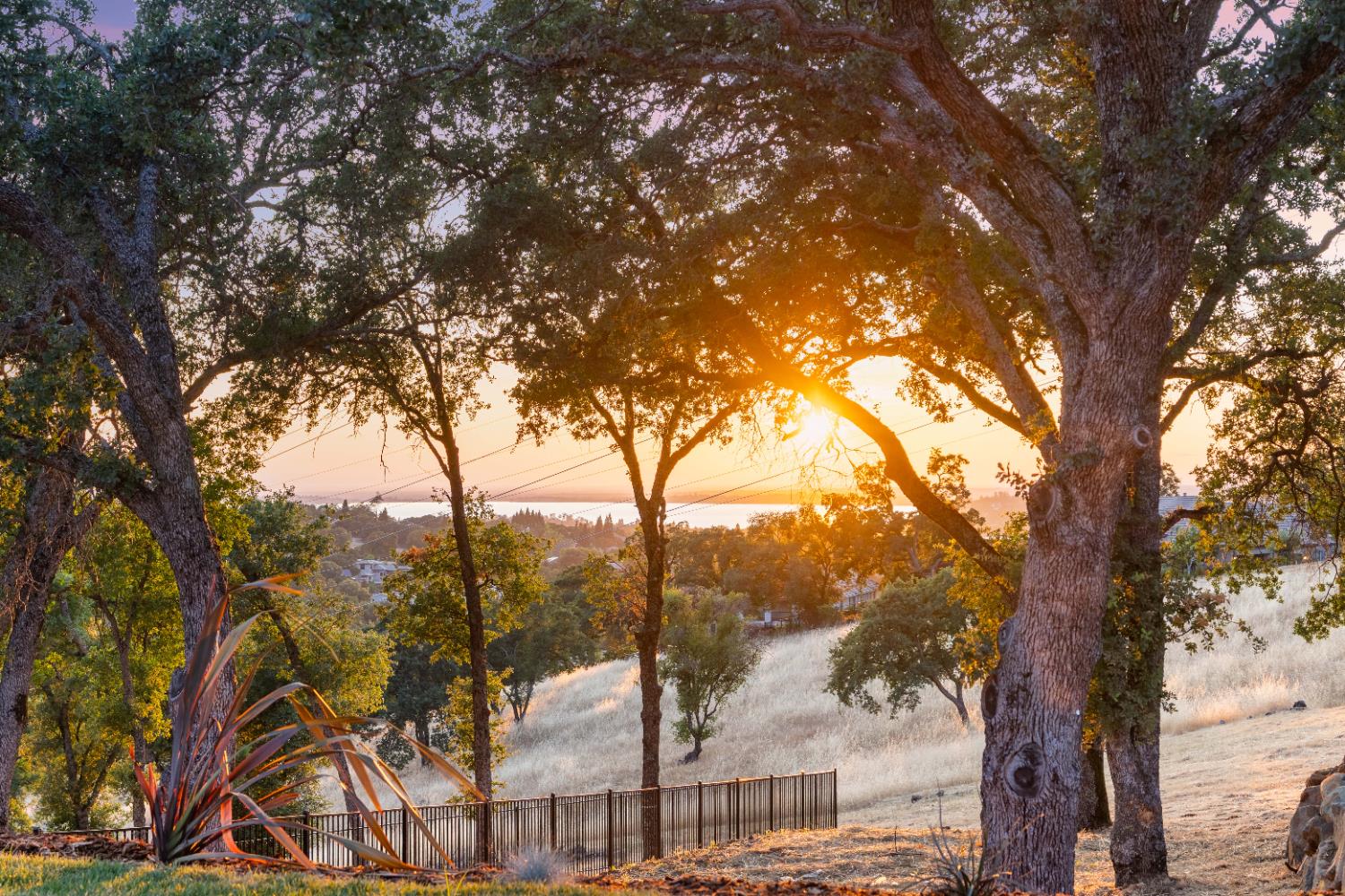 El Dorado Hills, California, 95762, United States, 5 Bedrooms Bedrooms, ,5 BathroomsBathrooms,Residential,Active,1998588