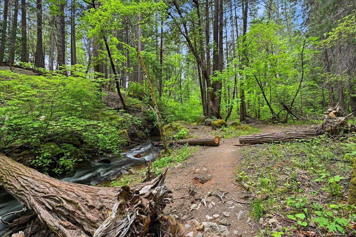 Nevada City, California, 95959, United States, 3 Bedrooms Bedrooms, ,3 BathroomsBathrooms,Residential,Active,2043425