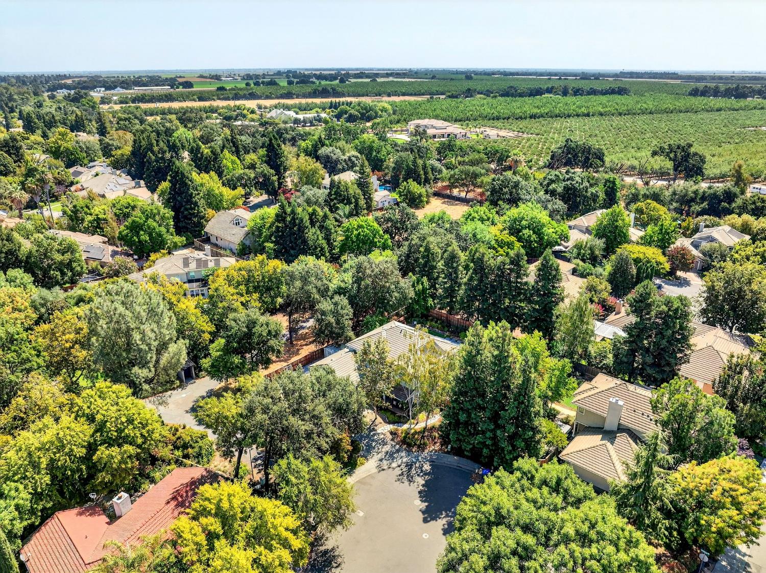 Davis, California, 95618, United States, 5 Bedrooms Bedrooms, ,3 BathroomsBathrooms,Residential,Active,1929454
