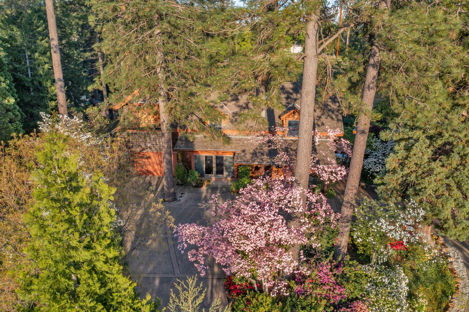 Placerville, California, 95667, United States, 3 Bedrooms Bedrooms, ,3 BathroomsBathrooms,Residential,Active,1834323