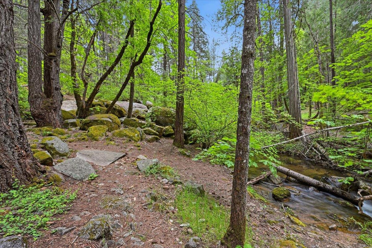 Nevada City, California, 95959, United States, 3 Bedrooms Bedrooms, ,3 BathroomsBathrooms,Residential,Active,2043425