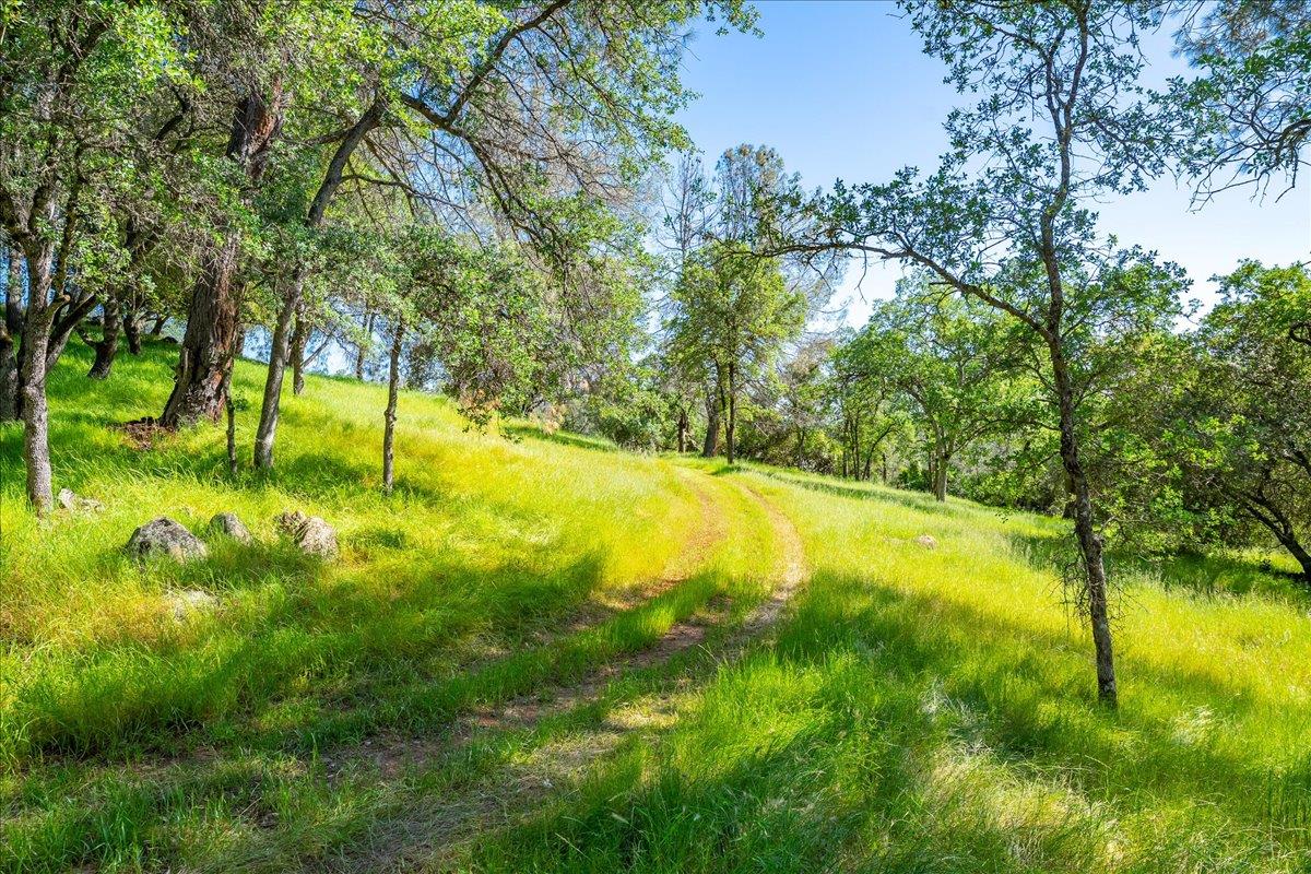 Placerville, California, 95667, United States, 4 Bedrooms Bedrooms, ,3 BathroomsBathrooms,Residential,Active,2034648