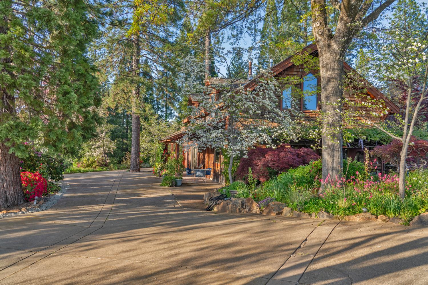 Placerville, California, 95667, United States, 3 Bedrooms Bedrooms, ,3 BathroomsBathrooms,Residential,Active,1834323