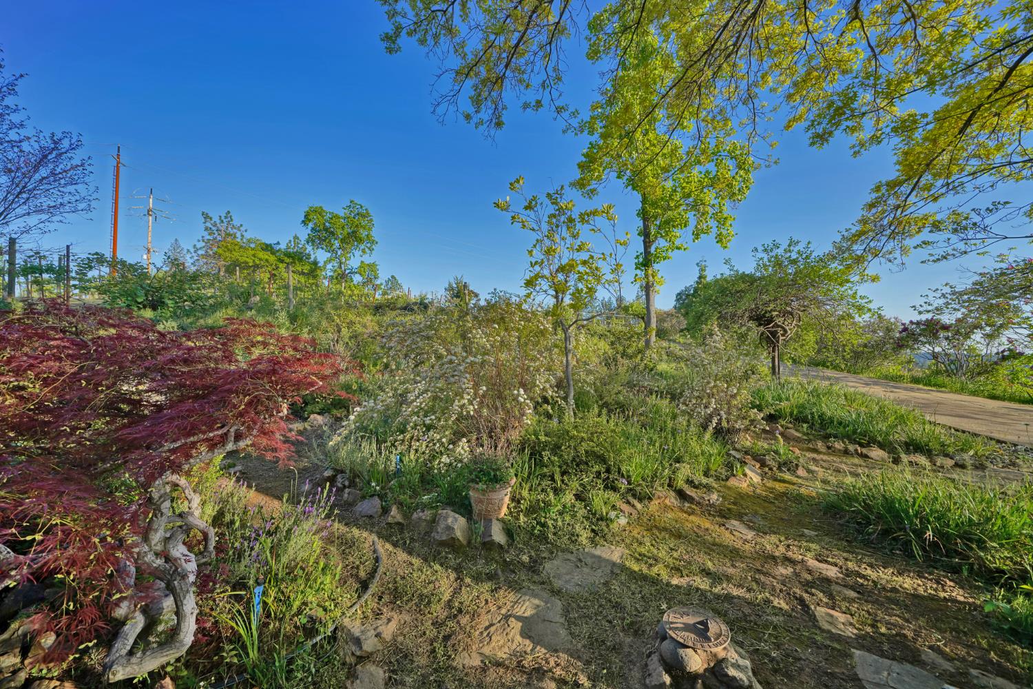 Placerville, California, 95667, United States, 3 Bedrooms Bedrooms, ,3 BathroomsBathrooms,Residential,Active,1834323