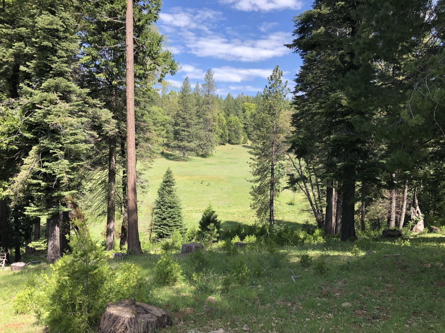 Pollock Pines, California, 95726, United States, 4 Bedrooms Bedrooms, ,3 BathroomsBathrooms,Residential,Active,1880012