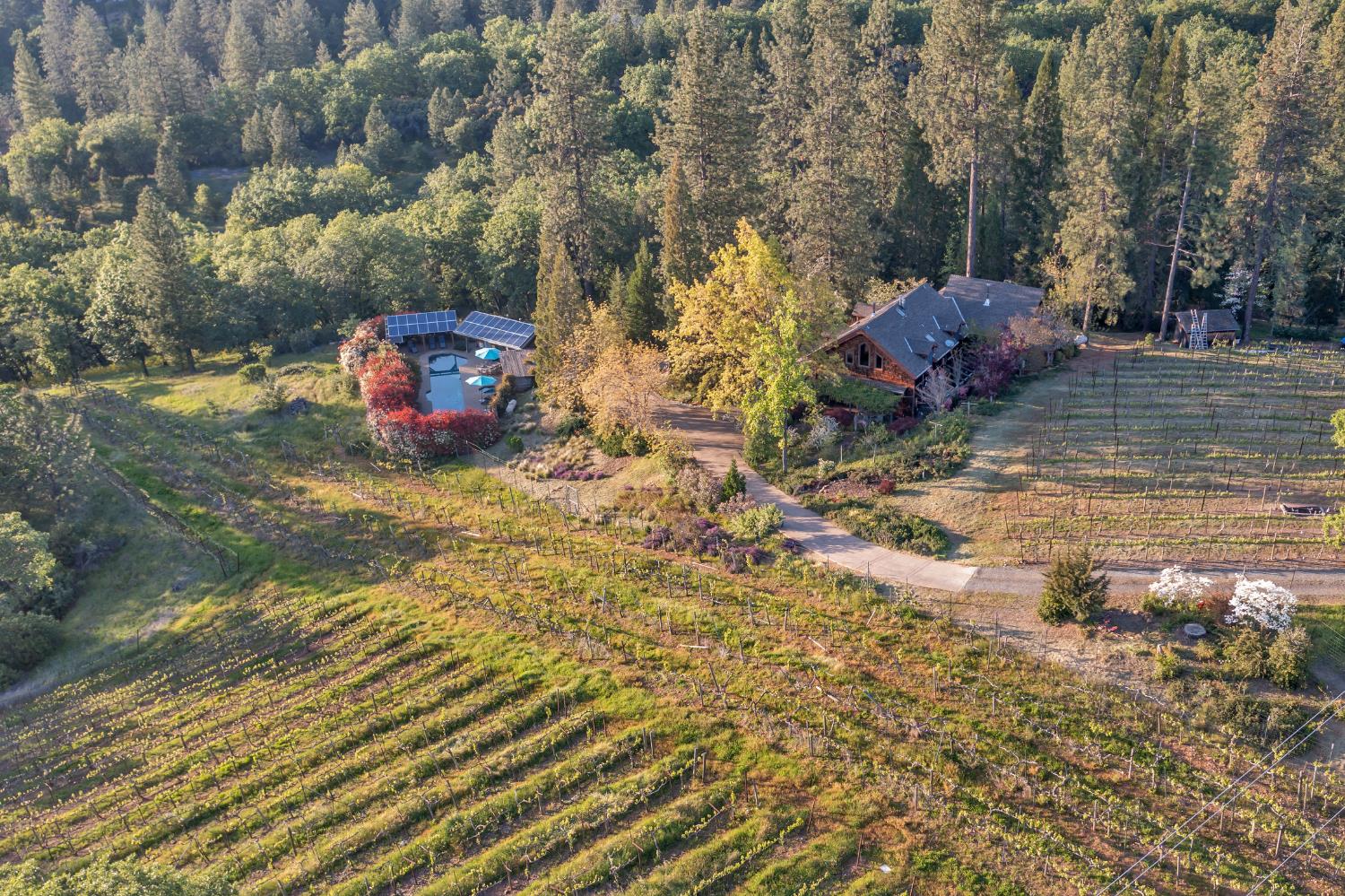 Placerville, California, 95667, United States, 3 Bedrooms Bedrooms, ,3 BathroomsBathrooms,Residential,Active,1834323