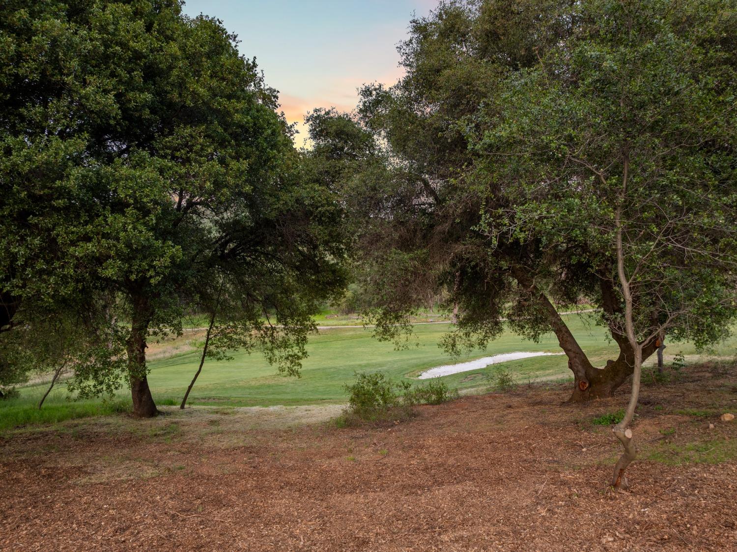 Auburn, California, 95602, United States, 4 Bedrooms Bedrooms, ,3 BathroomsBathrooms,Residential,Active,1943769