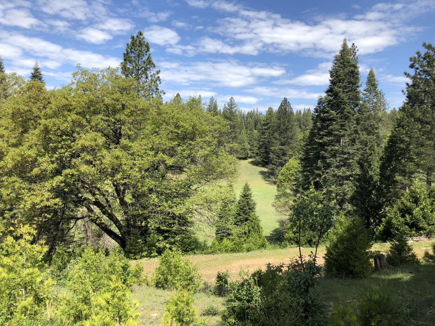 Pollock Pines, California, 95726, United States, 4 Bedrooms Bedrooms, ,3 BathroomsBathrooms,Residential,Active,1880012