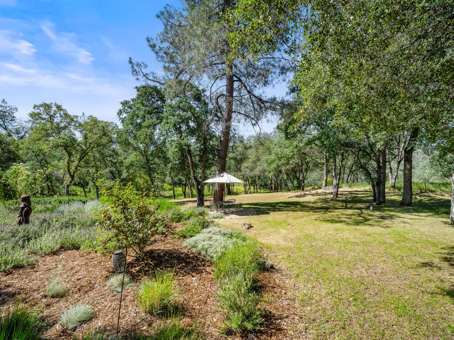 Placerville, California, 95667, United States, 3 Bedrooms Bedrooms, ,4 BathroomsBathrooms,Residential,Active,2042684