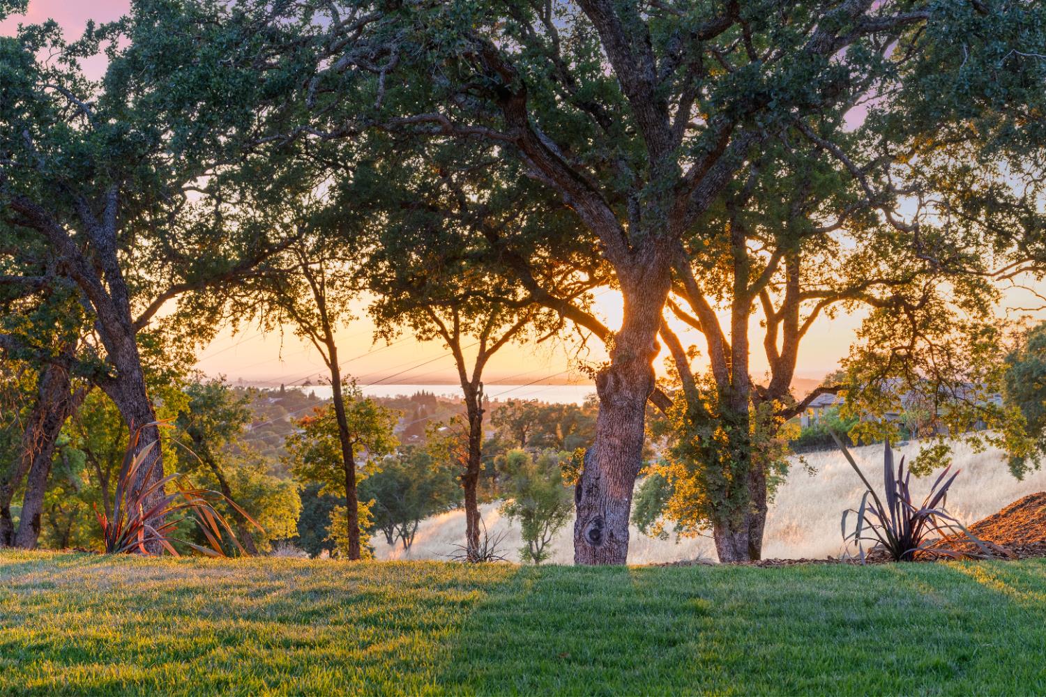 El Dorado Hills, California, 95762, United States, 5 Bedrooms Bedrooms, ,5 BathroomsBathrooms,Residential,Active,1998588