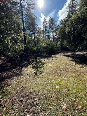 19171 RIDGE RD, PINE GROVE, CA 95665 - Image 1