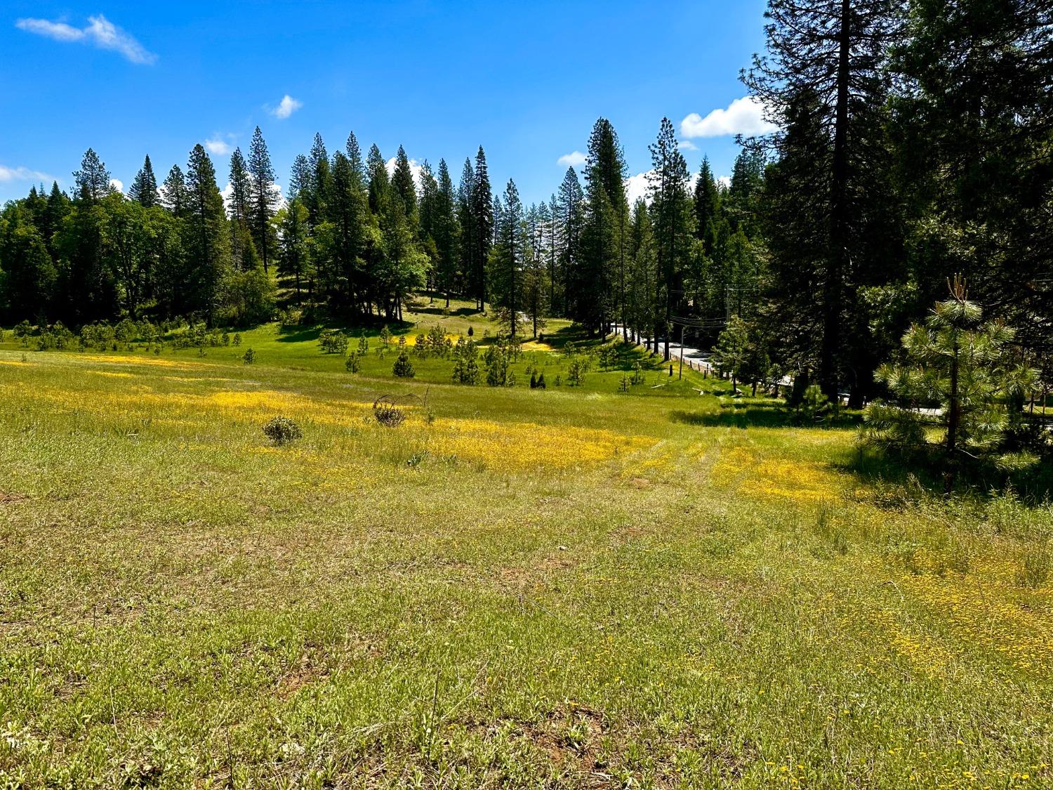 Pollock Pines, California, 95726, United States, 4 Bedrooms Bedrooms, ,3 BathroomsBathrooms,Residential,Active,1880012